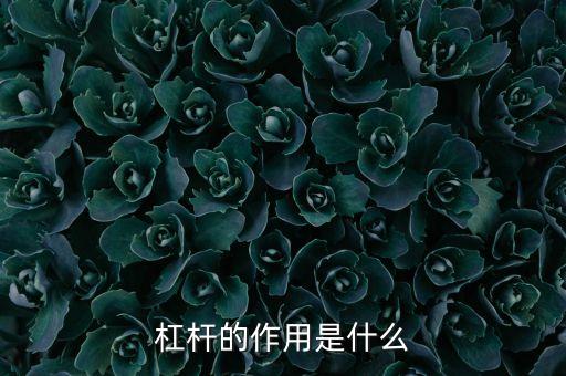 杠桿的作用是什么