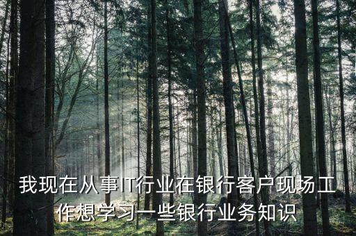 我現(xiàn)在從事IT行業(yè)在銀行客戶(hù)現(xiàn)場(chǎng)工作想學(xué)習(xí)一些銀行業(yè)務(wù)知識(shí)