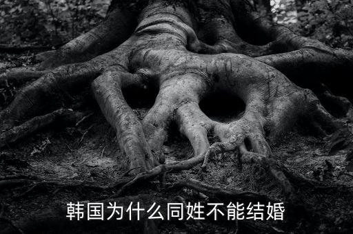 韓國為什么同姓不能結(jié)婚