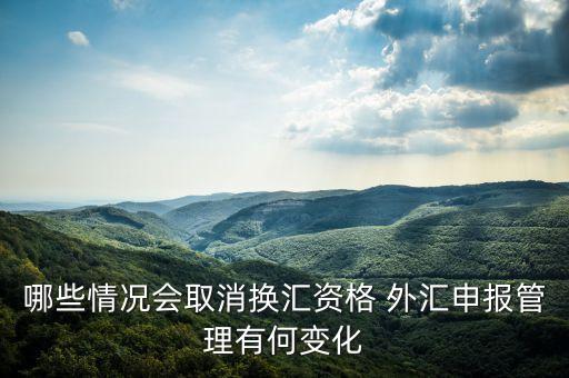 什么時(shí)候放開個(gè)人換匯限制，哪一年開始對(duì)境內(nèi)居民個(gè)人購匯不再實(shí)行核銷管理