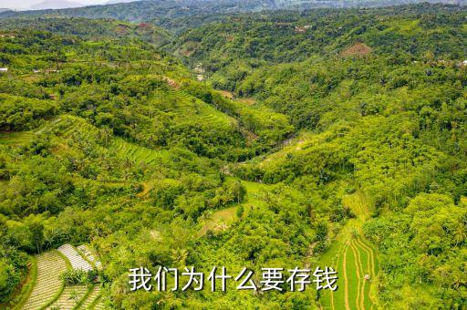 存錢有什么理由，我們?yōu)槭裁匆驽X