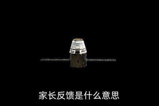 反饋意見(jiàn)是什么意思，反饋是什么意思