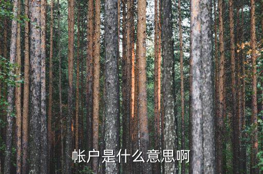 房地產(chǎn)預(yù)設(shè)帳戶是什么意思，房地產(chǎn)點(diǎn)訪是什么意思