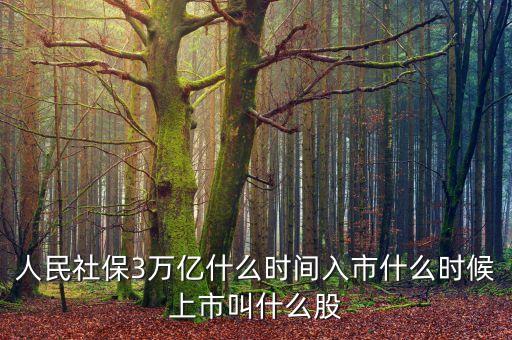 人民社保3萬(wàn)億什么時(shí)間入市什么時(shí)候上市叫什么股