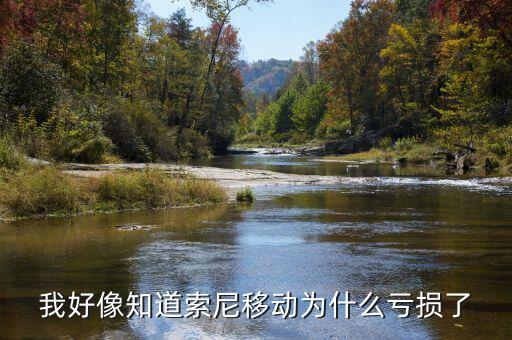 索尼為什么會虧損，索尼這么厲害為什么還賠錢