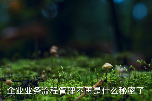 流程管理的亂象是什么，企業(yè)業(yè)務(wù)流程管理不再是什么秘密了
