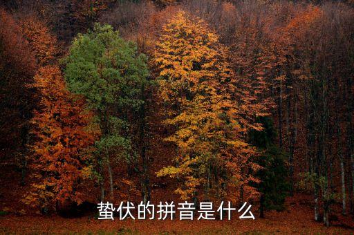 人的蟄伏期是什么，寂寂人定初中的人定是什么時候用天干地支中的回答相當