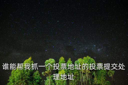 投票提交處理地址是什么，提交投票的問題怎么處理