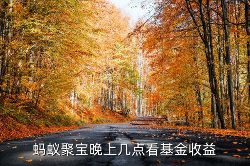 螞蟻聚寶晚上幾點看基金收益