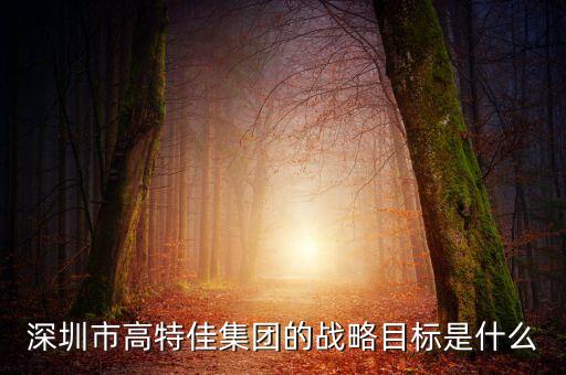 高特佳還有什么資產(chǎn)注入博雅，深圳市高特佳集團的戰(zhàn)略目標是什么