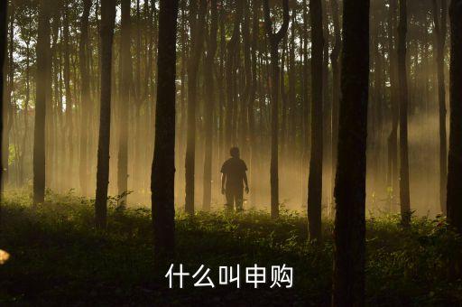 打新申購什么意思，什么叫申購