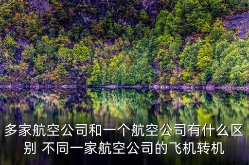 多家航空公司什么意思，同一架飛機有2家公司運營嗎我和我哥買的同一家飛機為什么是不