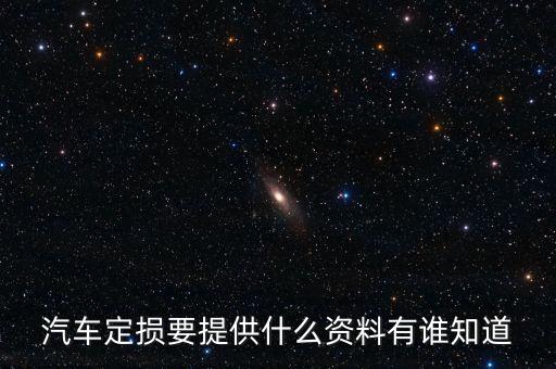 汽車定損要提供什么資料有誰知道