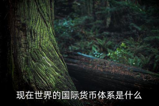 目前的國際體系是什么，當前國際秩序是怎樣的