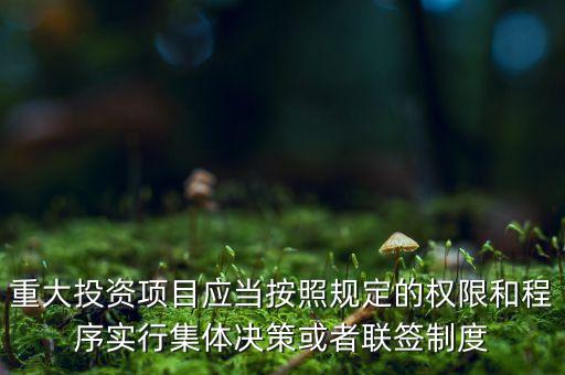 重大投資項目應當按照規(guī)定的權限和程序實行集體決策或者聯(lián)簽制度