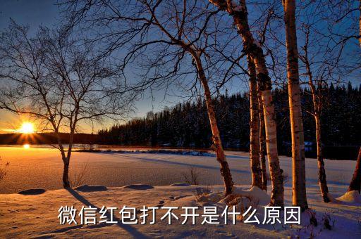 為什么紅包點不開呀，為什么紅包突然出現異常不能點開了
