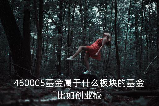 富國(guó)天益價(jià)值重倉(cāng)什么板塊，460005基金屬于什么板塊的基金比如創(chuàng)業(yè)板