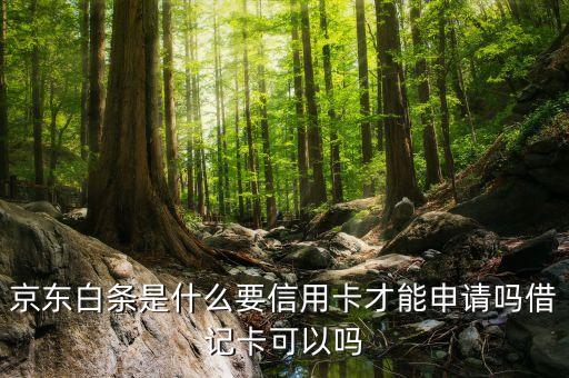 京東白條有什么要求，京東白條是什么要信用卡才能申請嗎借記卡可以嗎