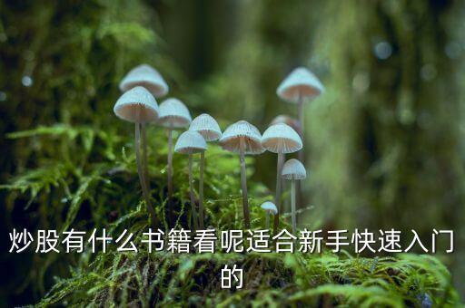 炒股有什么書籍看呢適合新手快速入門的