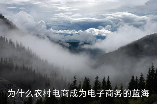 電商進村有什么政策，做電商進村的流程是怎樣的