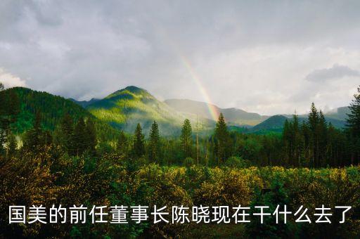 國美的前任董事長陳曉現(xiàn)在干什么去了