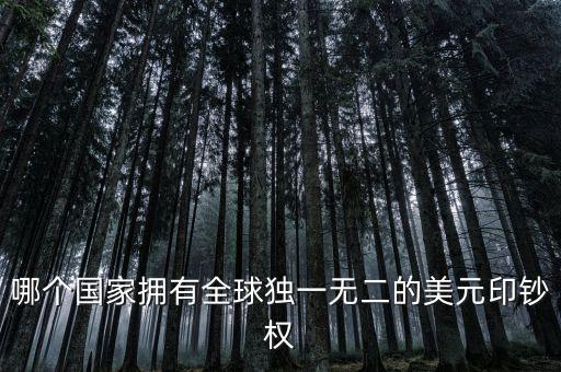 哪個(gè)國家擁有全球獨(dú)一無二的美元印鈔權(quán)