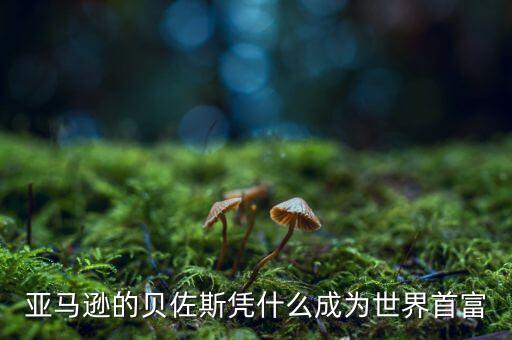 為什么美國富豪科技，為什么歐美好多科學(xué)家都是富二代