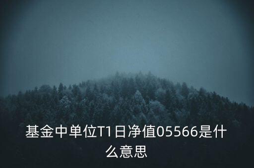 單位t1日凈值是什么意思，基金中單位T1日凈值05566是什么意思