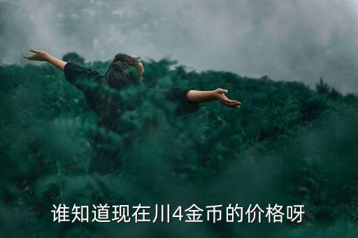 川板大點(diǎn)金現(xiàn)是什么價(jià)位一個(gè)，DNF川1 金表現(xiàn)在是什么價(jià)位呀