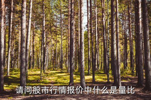 即時(shí)量比是什么意思，量比是什么意思