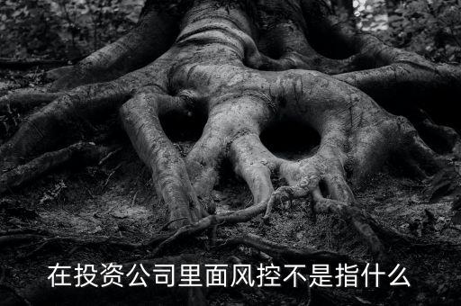 在投資公司里面風(fēng)控不是指什么