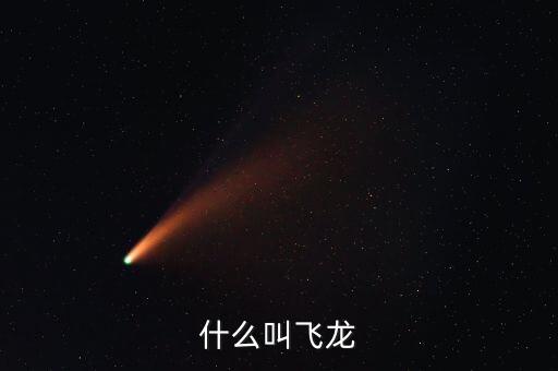 什么叫飛龍