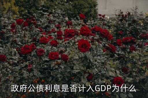 政府公債利息是什么，什么叫政府公債利息