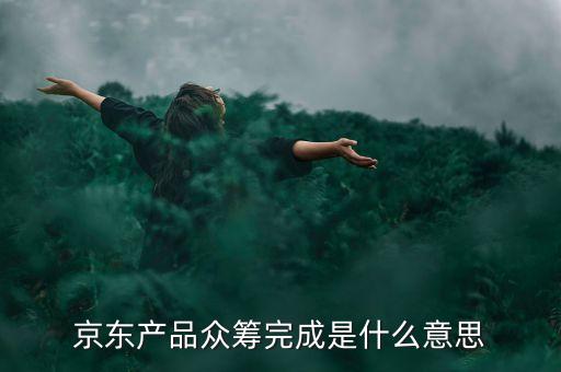 京東的眾籌是什么意思，京東眾籌是什么意思