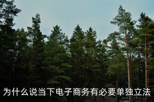 為什么要立電子商務(wù)法，電子商務(wù)的立法宗旨是什么
