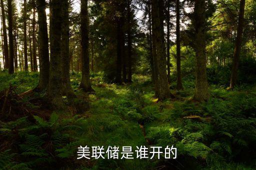 美聯(lián)儲(chǔ)是誰(shuí)開(kāi)的