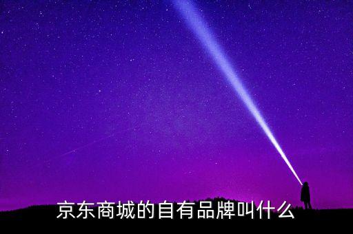 京東商城的自有品牌叫什么
