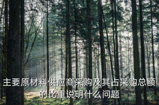 主要原材料供應商采購及其占采購總額的比重說明什么問題