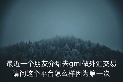 gmo外匯公司是什么平臺(tái)，gmo外匯平臺(tái)怎么樣