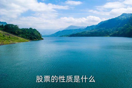 股份公司發(fā)行的股票具有什么性，股份有限公司的股票與上市公司的股票有什么區(qū)別