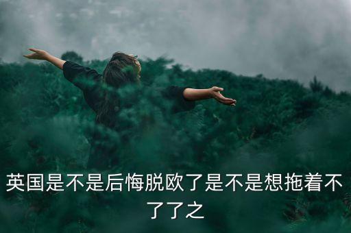 為什么英脫歐，英國脫歐的原因
