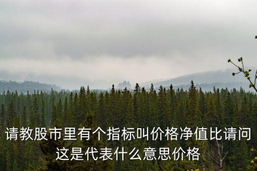 請教股市里有個指標叫價格凈值比請問這是代表什么意思價格