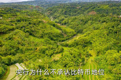 為什么中央不承認比特，中美為什么不承認比特幣的合法性