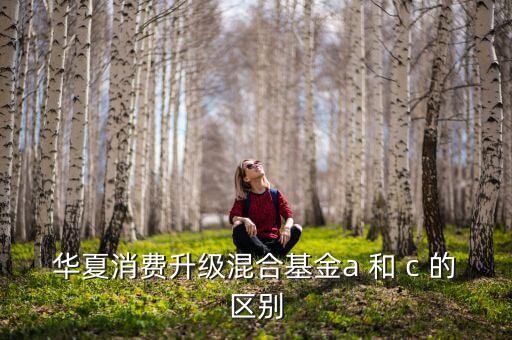 華夏醫(yī)療健康混合c和a有什么不同，華夏醫(yī)療健康混合型發(fā)起式證券投資基金a類與c類有何區(qū)別