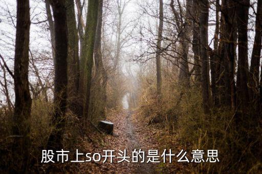 so股票什么意思，股市上so開頭的是什么意思