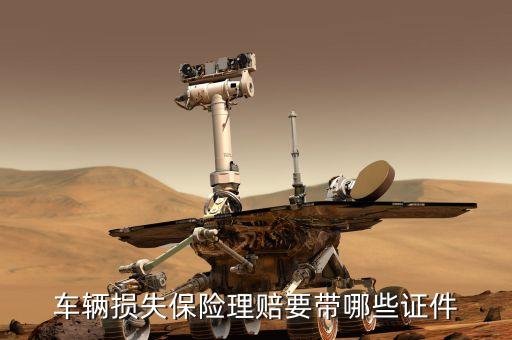 汽車保險(xiǎn)理賠車主帶什么證件，車輛保險(xiǎn)索賠要帶些什么證件
