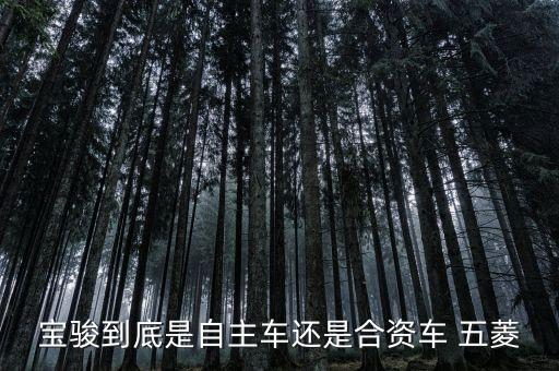 寶駿合資的自主品牌什么意思，有無人解釋下咩叫合資自主品牌