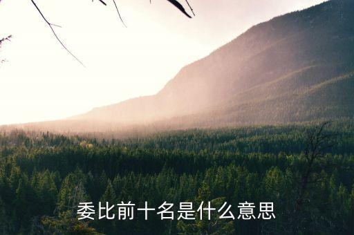 委比前是什么意思，委比前排名 是什么意思
