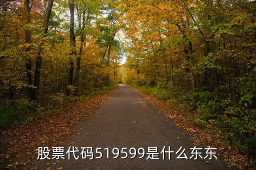 51開頭的是什么基金，51開頭的股票代表什么型的基金安全性怎么樣