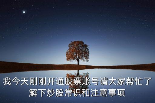 主力羅盤是什么意思，新手如何炒股